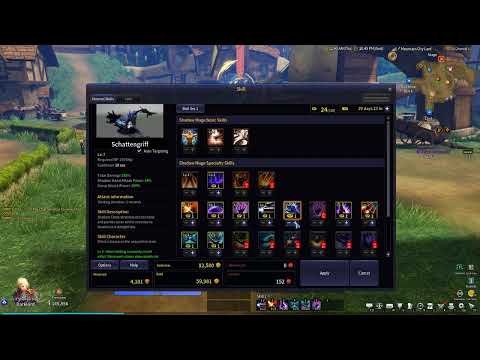 Kritika Zero Shadow Mage Schattengriff skill cooldown bug.