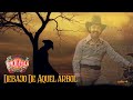 Ramon Ayala - Debajo De Aquel Árbol (Video Lyric Oficial)