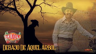 Ramon Ayala - Debajo De Aquel Árbol (Video Lyric Oficial)