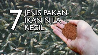 Download lagu MEMILIH PAKAN UNTUK IKAN NILA KECIL YANG TEPAT AGAR TUMBUH LEBIH CEPAT mp3