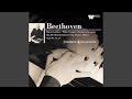 Piano Sonata No. 29 in B-Flat Major, Op. 106 "Hammerklavier": III. Adagio sostenuto....