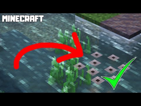MINECRAFT | How to Get FROGSPAWN