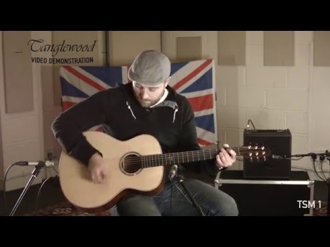 Tanglewood Demonstration - TSM 1