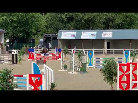 Limoncelo D.S. 4yo untouchable 27 x Balou ( Brookline)