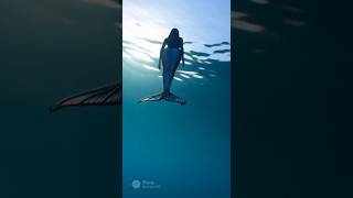 mermaid vore human video idea #1