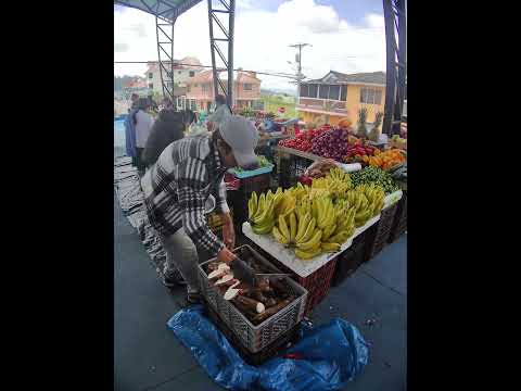 CANTÓN DELEG PROVINCIA DEL CAÑAR ECUADOR MERCADO DOMINGO FERIA 🎢