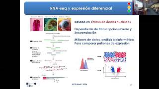 UC8 T1D Bases-Geneticas-Desarrollo-D-Herramientas-de-Estudio