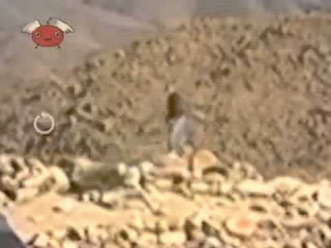 Lo Mejor de Bendita TV 216 By Matias.A.avi