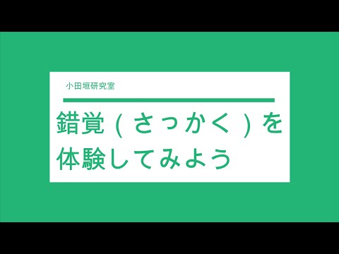 【オンラインこども科学教室】錯覚(さっかく)を体験してみよう【２０２１年度】