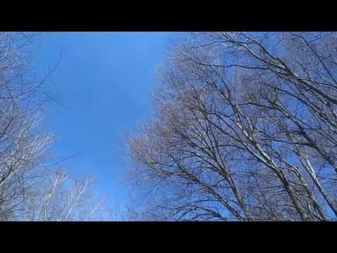 Plamen Staykov-Planinsko Valeri Velikov 2015