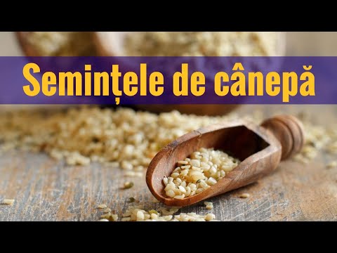 Hemp seeds. Benefits for your health!