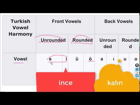 Turkish language harmony