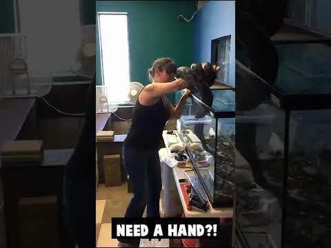 what did she do wrong here? Snake bites woman, and wraps her up.