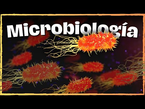 🦠 WHAT IS MICROBIOLOGY? | BRANCHES, IMPORTANCE, AND HISTORY | ✅ SHORT AND COMPLETE SUMMARY