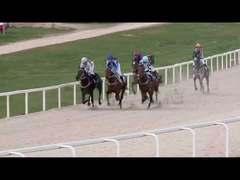 2022.04.24. 04. futam - AMATŐRVERSENY HENDIKEP (IV.o.) (szintetikus pálya)