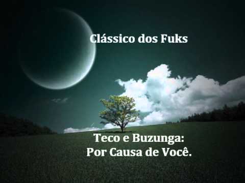 Clássico dos Funks - MC's Teco e Buzunga - Por Causa de você.