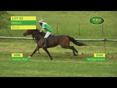 Lot 89 - MATSURI (Admire Main - Vintage Event) Filly