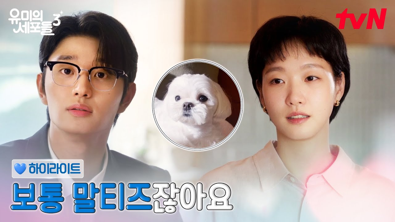 1화 하이라이트｜오랜만에 나타난 진짜 '싫은' 타입, 순록이 #유미의세포들시즌3 EP.1