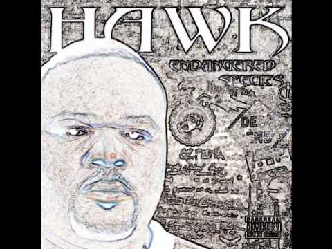 HAWK: H-Town Stomp