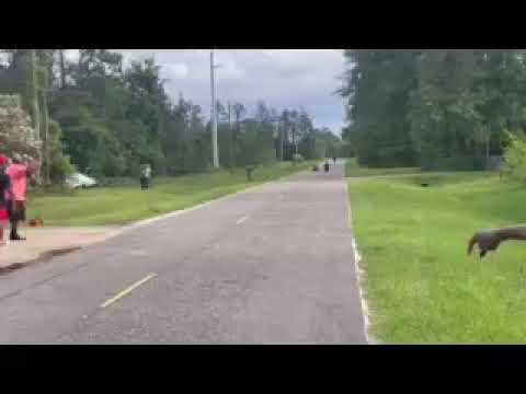 Go kart vs Mini bike 1/8 mile