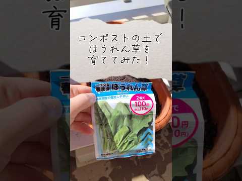 急いで知っておくべき堆肥に入れてはいけない14のこと  庭園