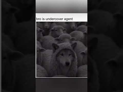 #dog #telugu #pranitha