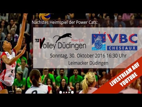 NLA Volleyball - Powercats Düdingen Livestream