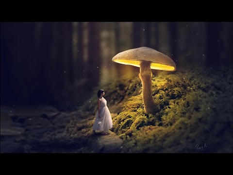 Glowing Mushroom | Photoshop Fantasy Manipulation Tutorial