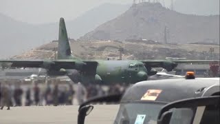 [討論] 台灣如果派C130到喀布爾撤僑