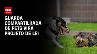Vídeo: Especialista avalia PL Sobre Guarda Compartilhada De Pets | LIVE CNN