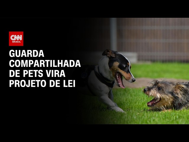 Especialista avalia PL Sobre Guarda Compartilhada De Pets | LIVE CNN