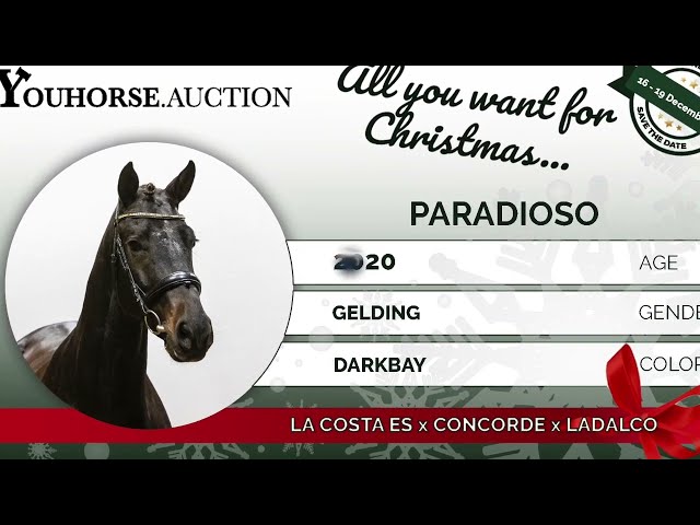 Paradiso under the saddle