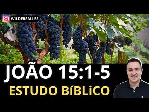 JOÃO 15:1-5 (ESTUDO BÍBLICO)