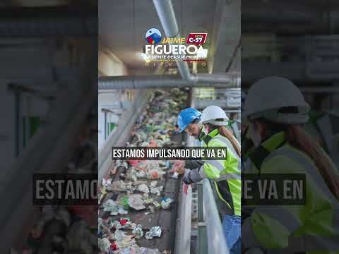 Cuidar el medio ambiente y el humedal de Purranque