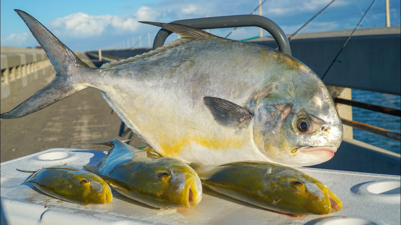 2 Fish You CAN T Buy! Catch Clean Cook (Florida Keys Bridge Fishing)