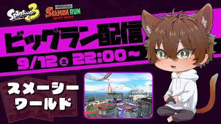 【雑談配信】ファンマークをFIXさせます