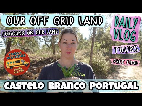 Free Food and Foraging On Our Off Grid Land - Daily Vlog (Ep10 - Thurs) - Portuguese Homestead