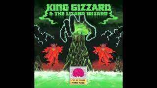 I'm In Your Mind/I'm Not In Your Mind/Cellophane/I'm In Your Mind Fuzz - King Gizzard