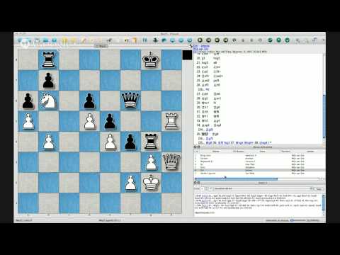 Wijk aan Zee 5 scacchierando