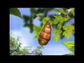 PBS Sesame Street Opening Credits Funding April 4 2004