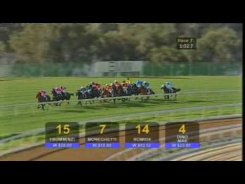 Race 7 - Ascot - November 14 2009