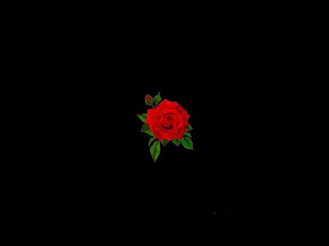[FREE] Tyga ft. G-Eazy x Tory Lanez Type Beat 2020 - [Rose]