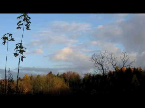 Looking Back - Daniel Hellbach