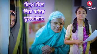বিদ্যুৎ বিল নিয়ে দাদির তুলকালাম |  Nishat Hossain | পর্ব ২৪