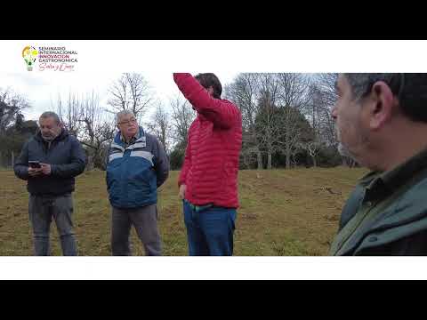 RESUMEN JORNADA 19 DE JUNIO DEDICADA A LA SIDRA