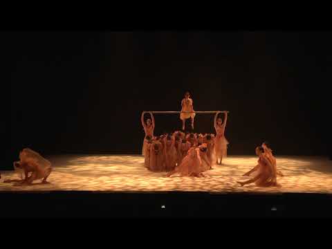 The Architect / Choreography by Ivica Bago