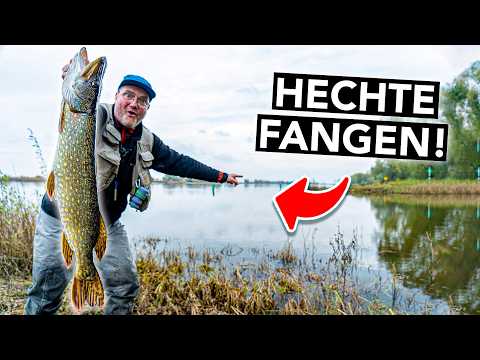 Die 8 besten Tipps zum Hechtangeln 🎣 So fängst du deinen ersten Hecht!