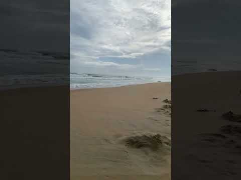 Nghe song biển- nhẹ cả lòng