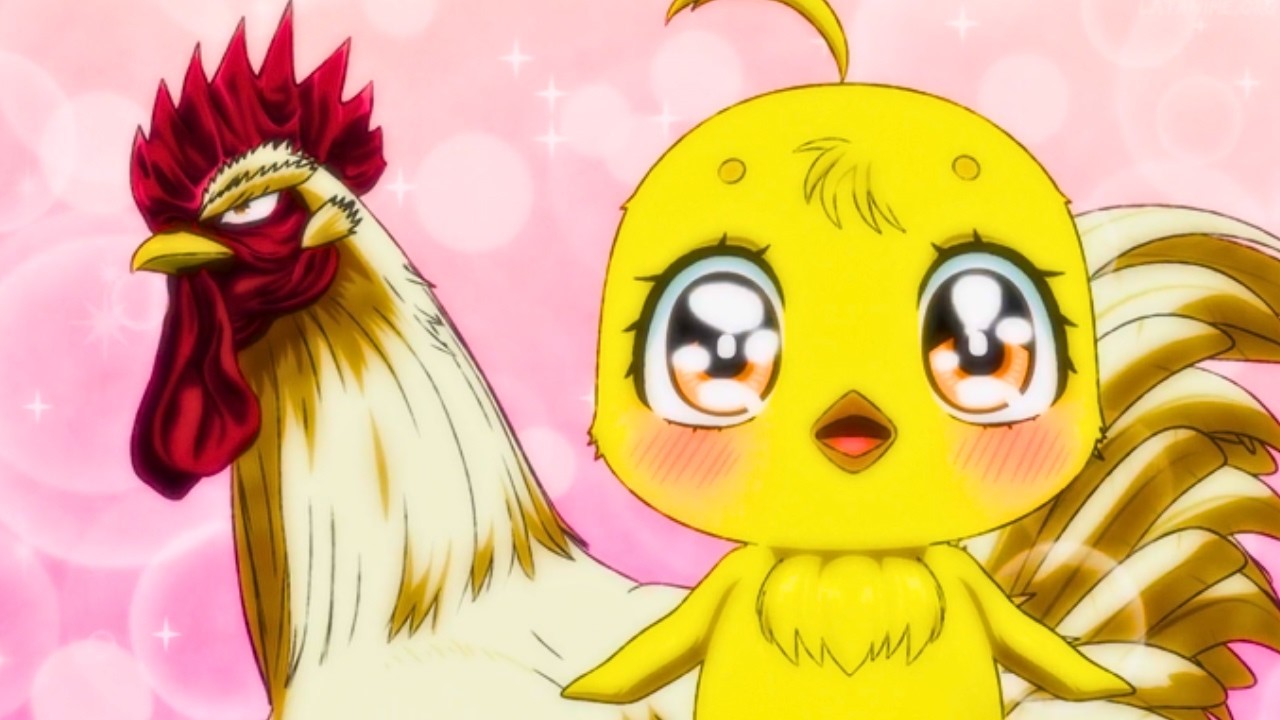 KEIJI se convierte en PADRE de PIOLIN ...!! 🐥 | Doblaje Latino 🇲🇽