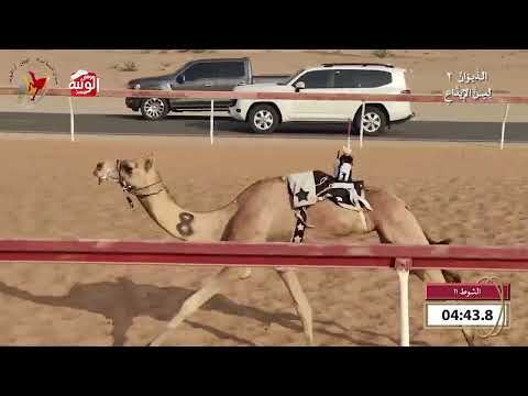  ش 11 (احترام) لـ ناصر خميس ناصر السنيدي 8:17 , شارة الديوان 2 2026/09/27 ايذاع اللبسه 